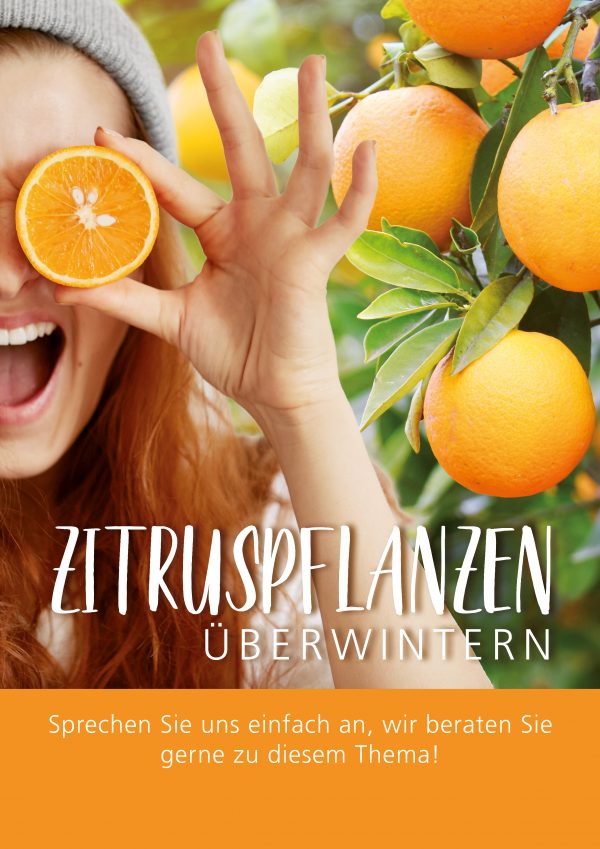2018_12_Zitruspflanzen-überwintern_Plakat_A1