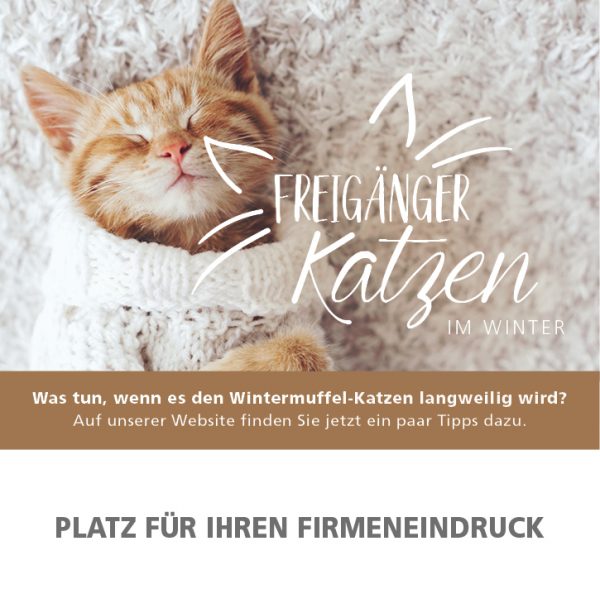 2019_01_Freigänger-Katzen-im-Winter_Anzeige_92x94mm