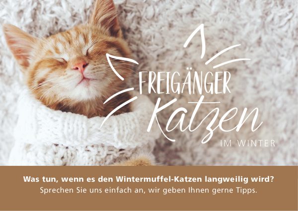 2019_01_Freigänger-Katzen-im-Winter_Banner_212x150cm