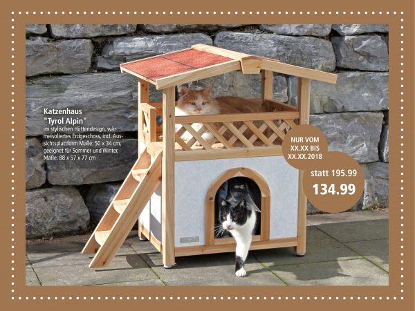 2019_01_Freigänger-Katzen-im-Winter_Facebook_3_1200x900px