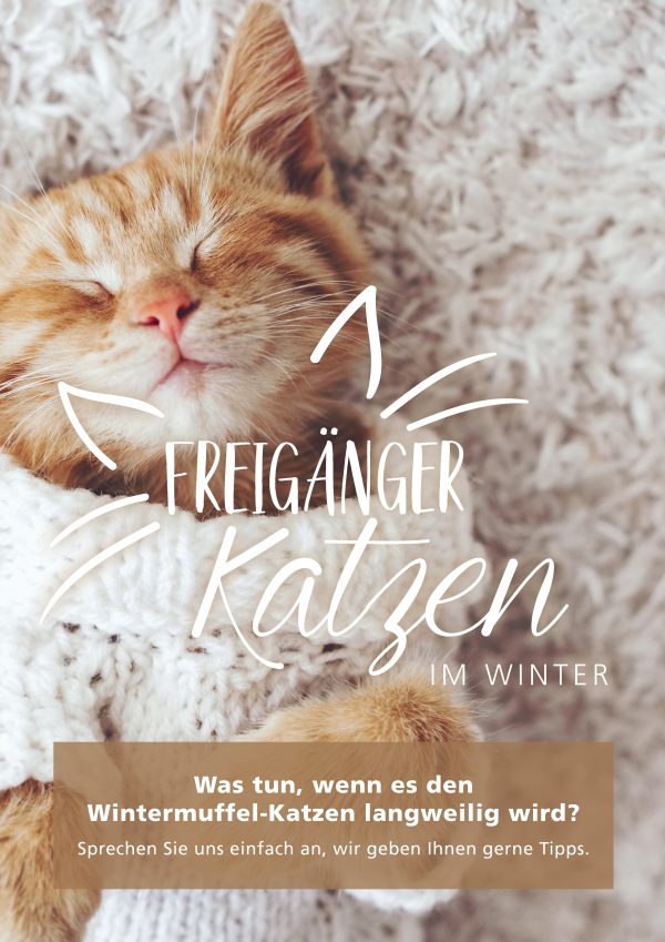 2019_01_Freigänger-Katzen-im-Winter_Plakat_A1