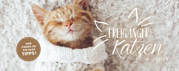 2019_01_Freigänger-Katzen-im-Winter_Webbanner-880x350px