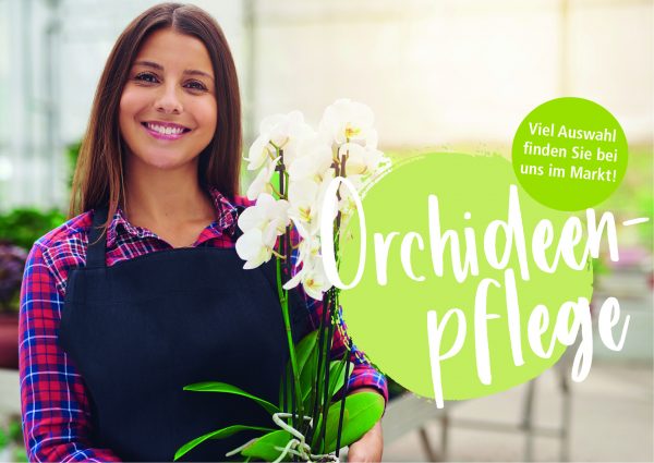 2019_01_Orchideen_Banner_212x150cm