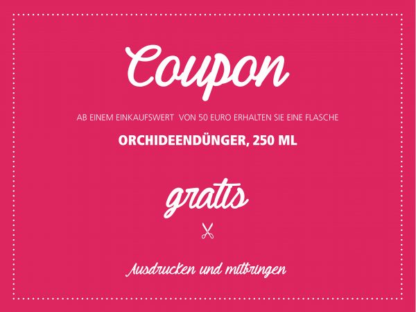 2019_01_Orchideen_Facebook_1_1200x900px3