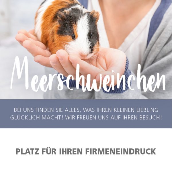 2019_02_Meerschweinchen_Anzeige_92x94mm