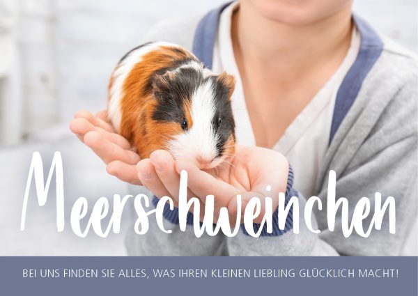 2019_02_Meerschweinchen_Banner_212x150cm