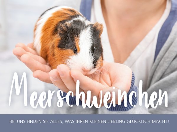 2019_02_Meerschweinchen_Facebook_1_1200x900px