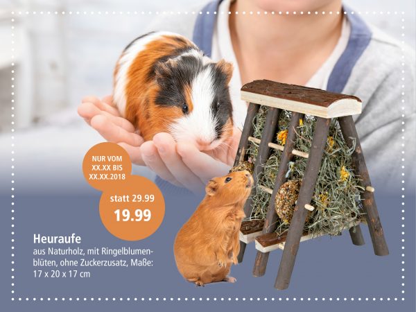 2019_02_Meerschweinchen_Facebook_3_1200x900px