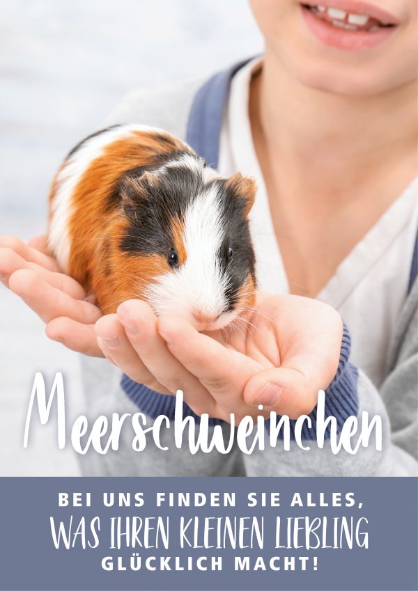2019_02_Meerschweinchen_Plakat_A1