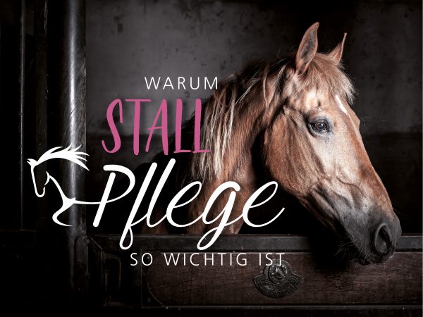 2019_02_Stallpflege_Facebook_1_1200x900px
