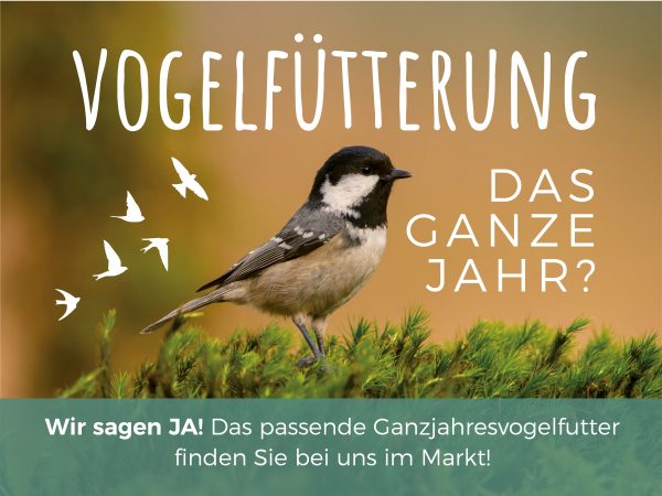 2019_03_Ganzjahresvogelfütterung_Facebook_1_1200x900px