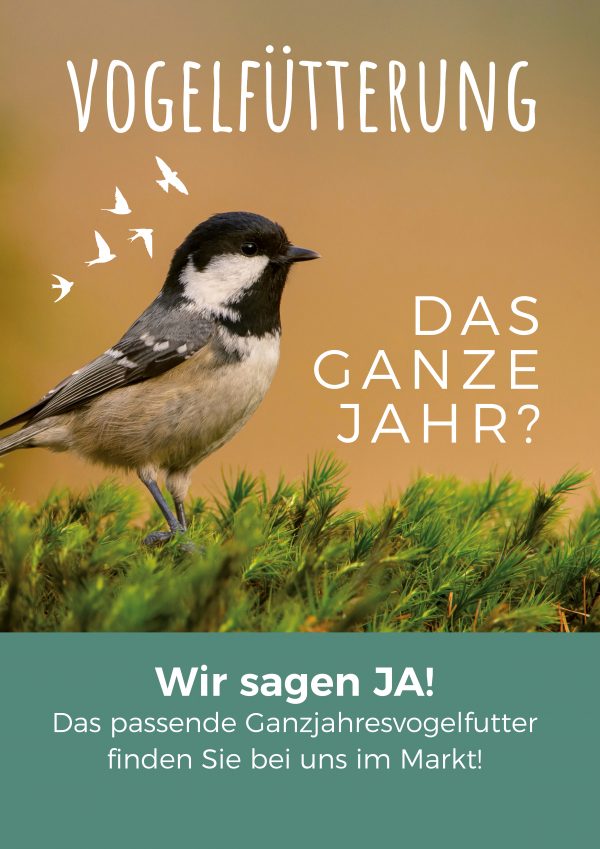 2019_03_Ganzjahresvogelfütterung_Plakat_A1