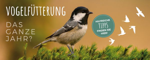 2019_03_Ganzjahresvogelfütterung_Webbanner_880x350px