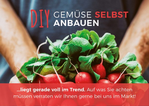 2019_03_Gemüse-anbauen_Banner_212x150cm