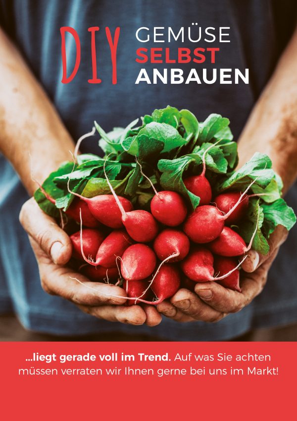 2019_03_Gemüse-anbauen_Plakat_A1