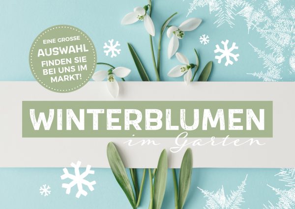 2020_01_Winterblumen_Banner_212x150cm
