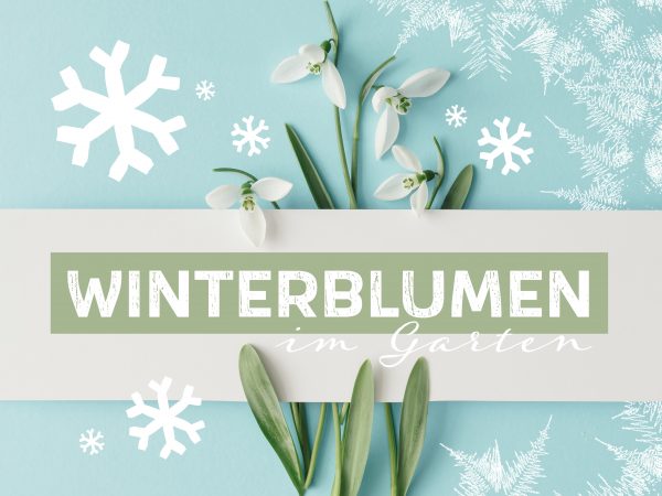 2020_01_Winterblumen_Facebook_1_1200x900px