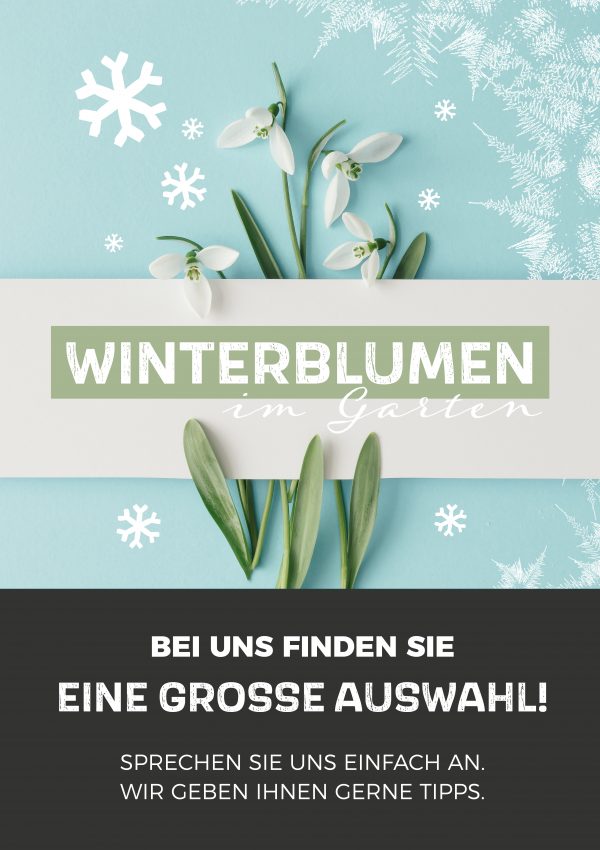 2020_01_Winterblumen_Plakat_A1