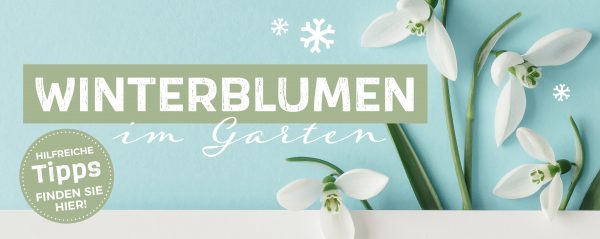 2020_01_Winterblumen_Webbanner_880x350px
