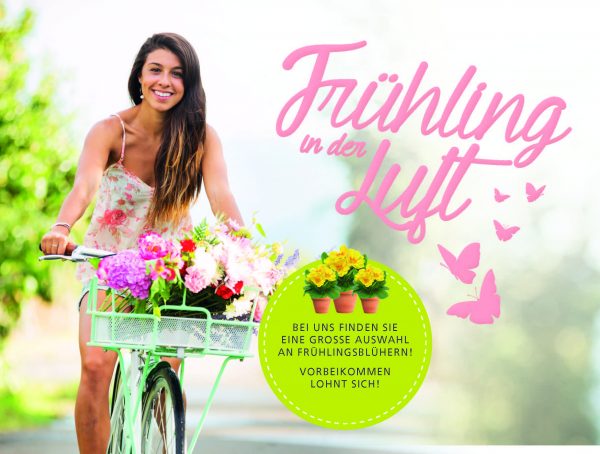 Fruehlingsblumen-Banner