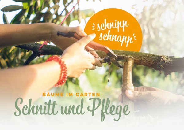 MW_202002_010087_Banner_212x150cm