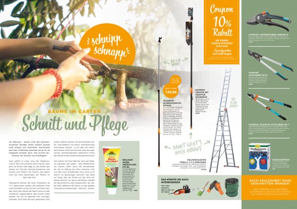 MW_202002_010087_Baumpflege – Schnitt und Pflege