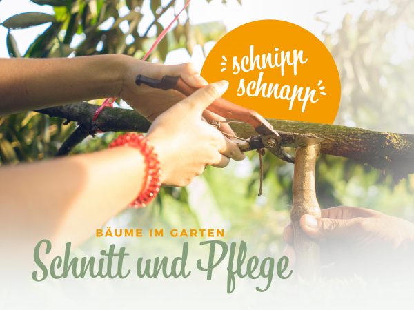 MW_202002_010087_Facebook_1_1200x900px