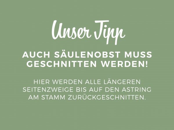 MW_202002_010087_Facebook_3_1200x900px