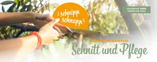 MW_202002_010087_Web-Banner_880x350px-mit