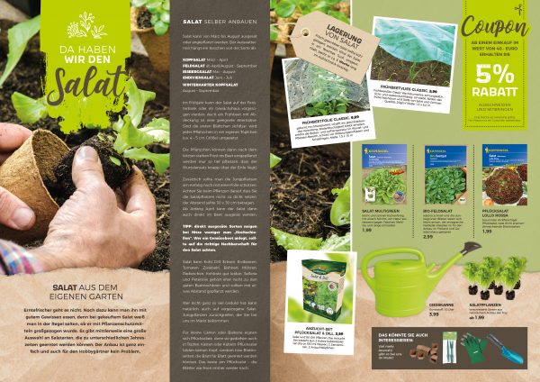 MW_202004_010094_Salat selber anbauen