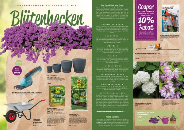 MW_202004_010097_Blütenhecken