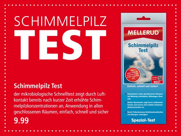 Schimmel-bekämpfen_Facebook2