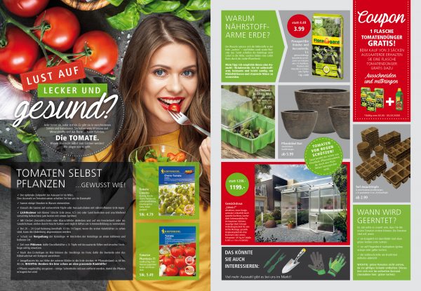 Themendoppelseite_Tomatenpflanzzeit