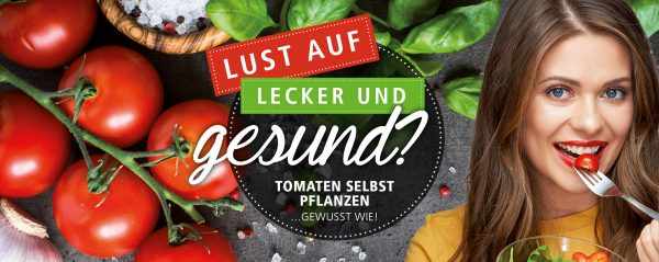 Tomatenpflanzzeit_Webbanner