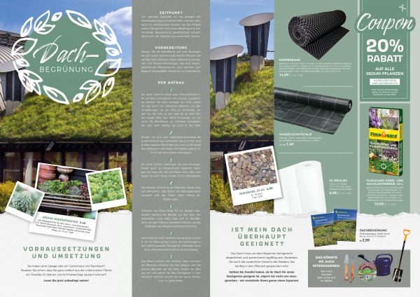 MW_202006_010098_Dachbegrünung – Vorraussetzungen und Umsetzung