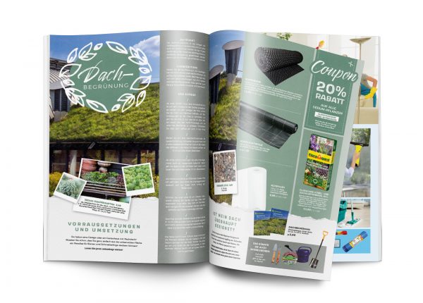 MW_202006_010098_Dachbegrünung – Vorraussetzungen und Umsetzung-Mockup