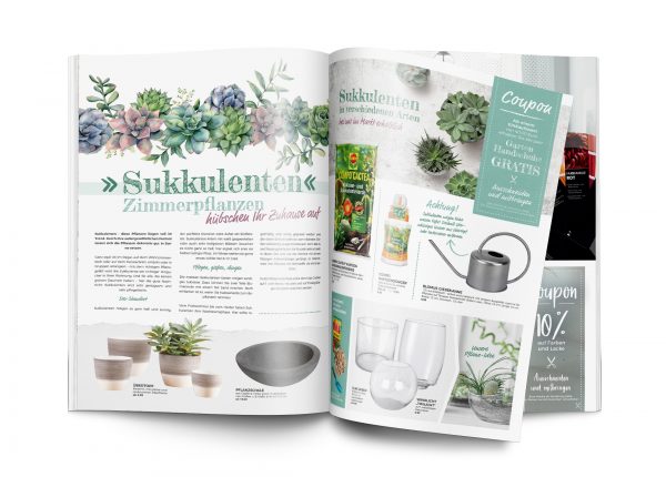 MW_202006_020092_Sukkulenten – Zimmerpflanzen voll im Trend